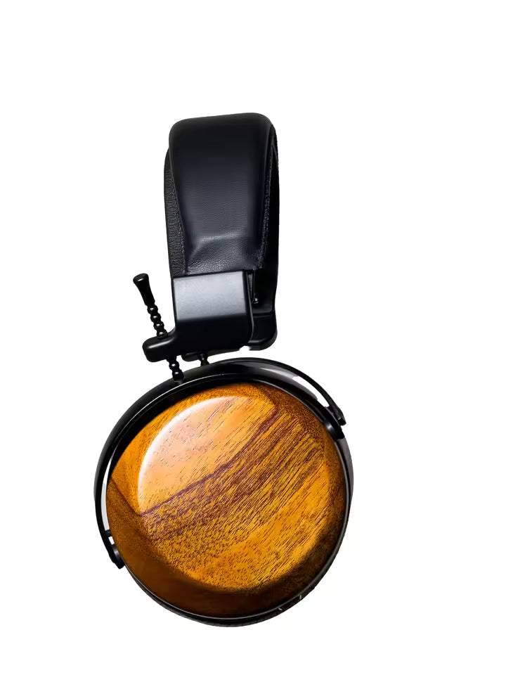 EFEP Closed-Back Over-Ear Full-Size Planar Magnetic Audiophile Dynamic Headphone with Stealth Magnets for Home&Studio