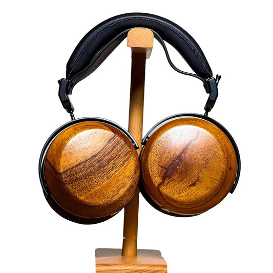 EFEP Closed-Back Over-Ear Full-Size Planar Magnetic Audiophile Dynamic Headphone with Stealth Magnets for Home&Studio